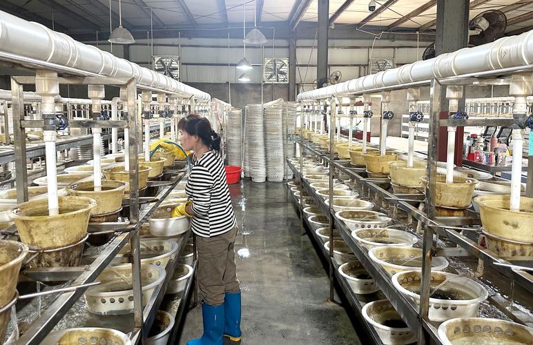海南宝路水产科技 新春复工生产忙 铆足干劲开新局