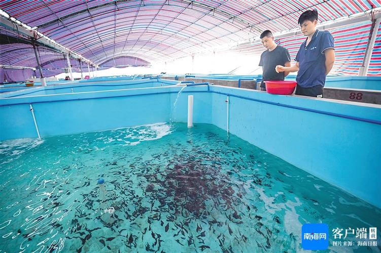 三亚崖州湾科技城院士工作站 汇聚智力资源，解锁“蓝色粮仓”的海南科技密码